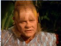 Neelix